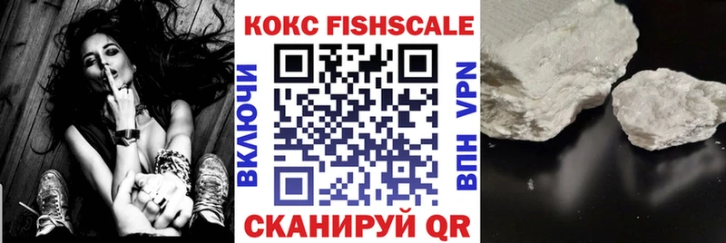 где купить наркоту  Бирюсинск  КОКАИН Fish Scale 