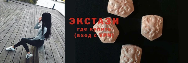 дмт Богданович