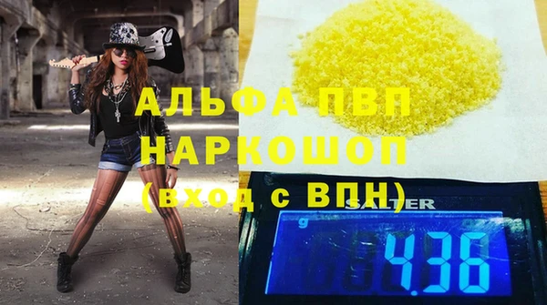 дмт Богданович